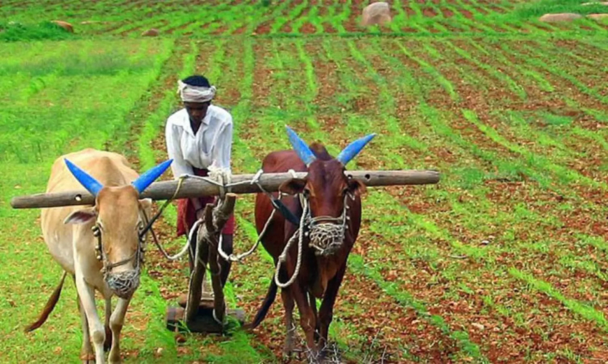 అమెరికా వాణిజ్య నిర్ణయాలు: భారతీయ వ్యవసాయంపై ప్రభావం